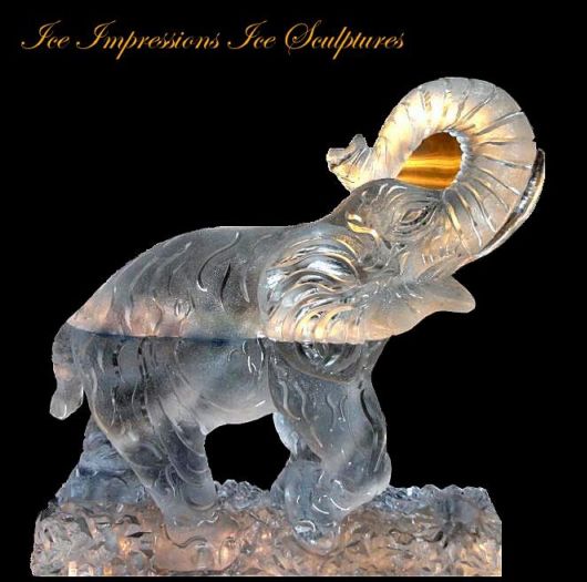 Ice Impressions Sculpture Gallery