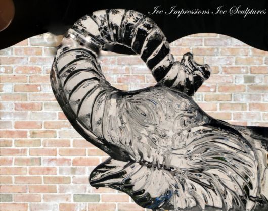 Ice Impressions Sculpture Gallery