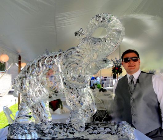 Ice Impressions Sculpture Gallery