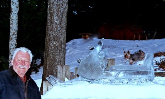 Ice Impressions Sculpture Gallery