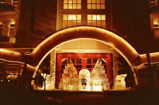 Ice Impressions Sculpture Gallery