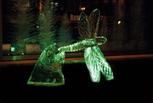 Ice Impressions Sculpture Gallery