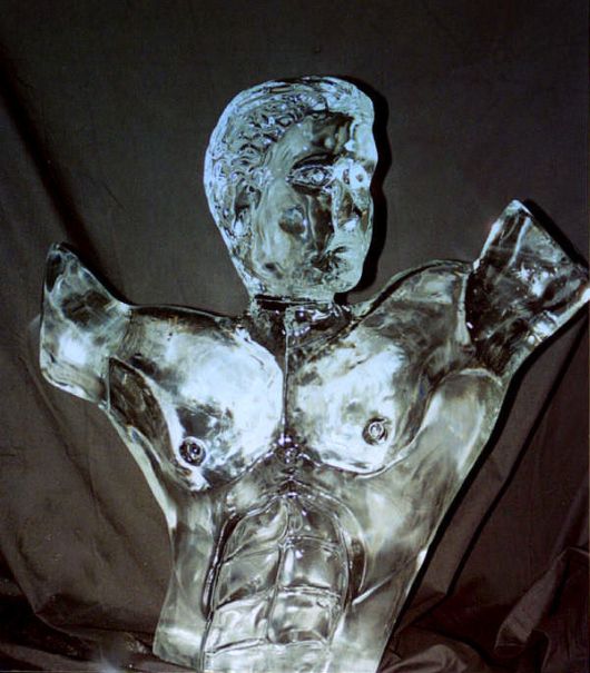 Ice Impressions Sculpture Gallery