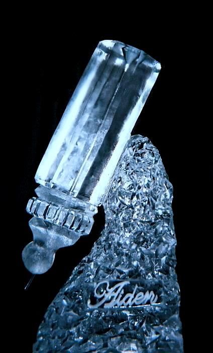 Ice Impressions Sculpture Gallery