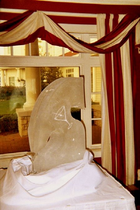 Ice Impressions Sculpture Gallery