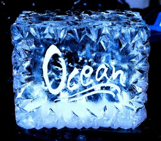 Ice Impressions Sculpture Gallery