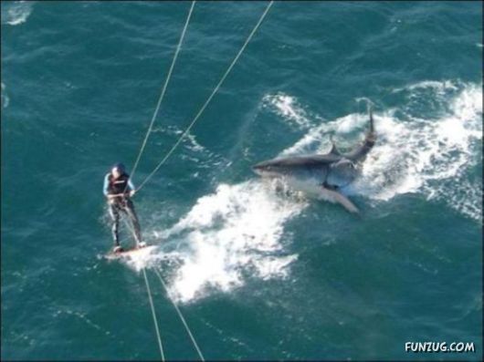 Its All About Timing