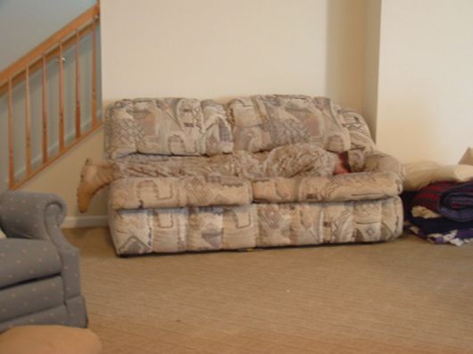 Some People Who Accidentally Dressed Like Their Surroundings