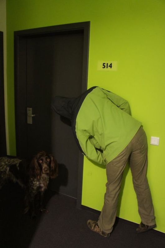 Some People Who Accidentally Dressed Like Their Surroundings