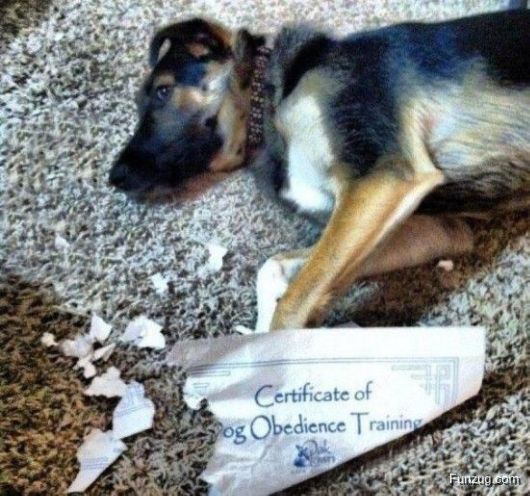 Most Ironic Moments Ever