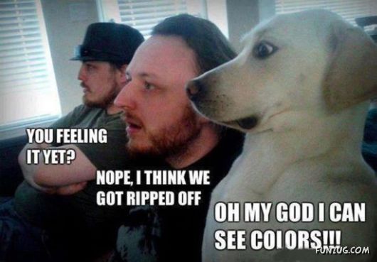 Awesome Animals - I Want One