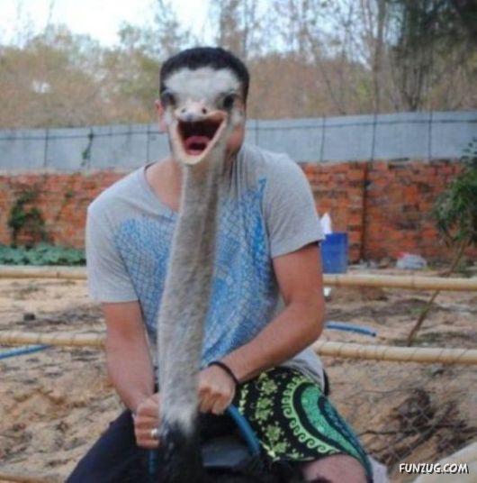 Awesome Animals - I Want One