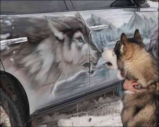 Interesting Cool Pictures Gallery