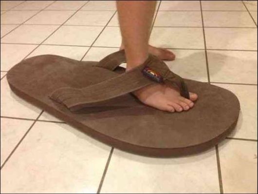 Interesting Cool Pictures Gallery