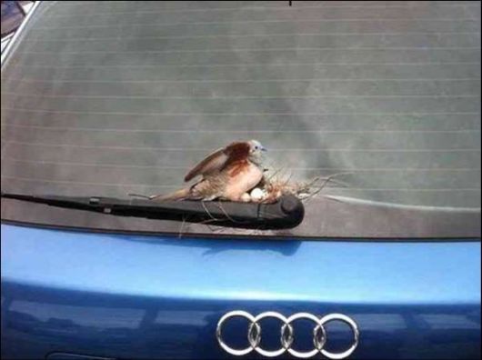 Interesting Cool Pictures Gallery