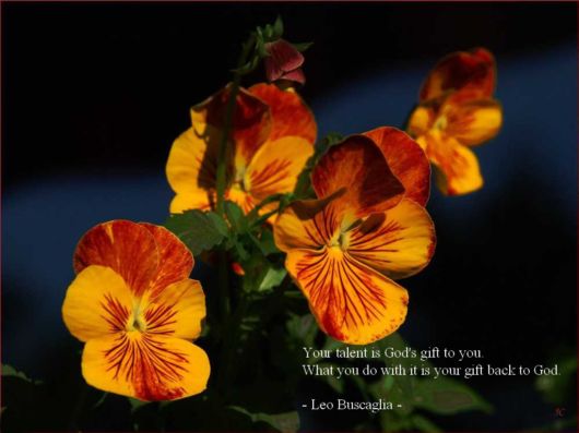 As You Travel Through Life