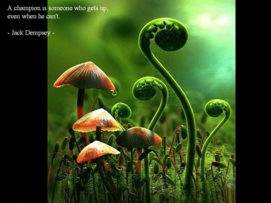 As You Travel Through Life