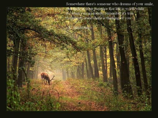 As You Travel Through Life