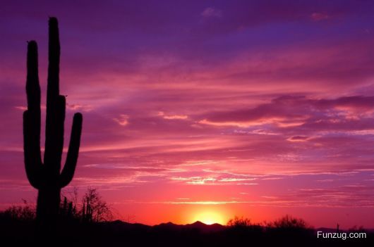 Beautiful Sunsets Photography