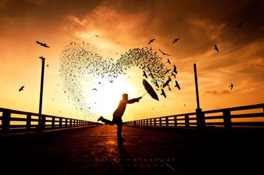 20 Interesting Facts About Love