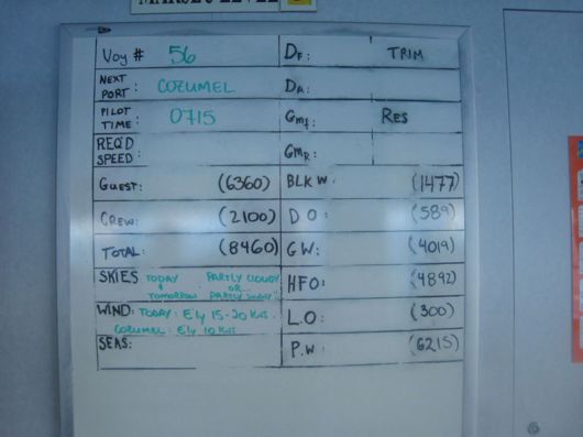 Behind The Scenes Of The World Largest Cruise Ship