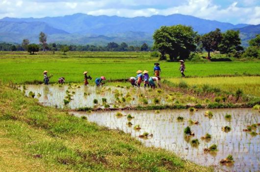 The Incredible Myanmar