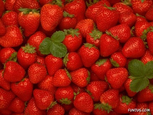 Click to Enlarge - Mouth Watering Food Wallpapers