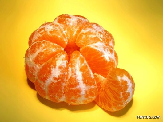 Click to Enlarge - Mouth Watering Food Wallpapers