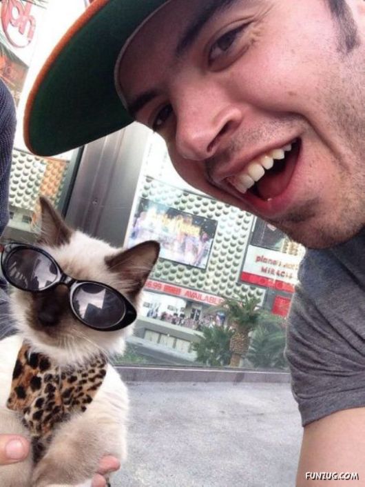 Amazing Animals Having Fun