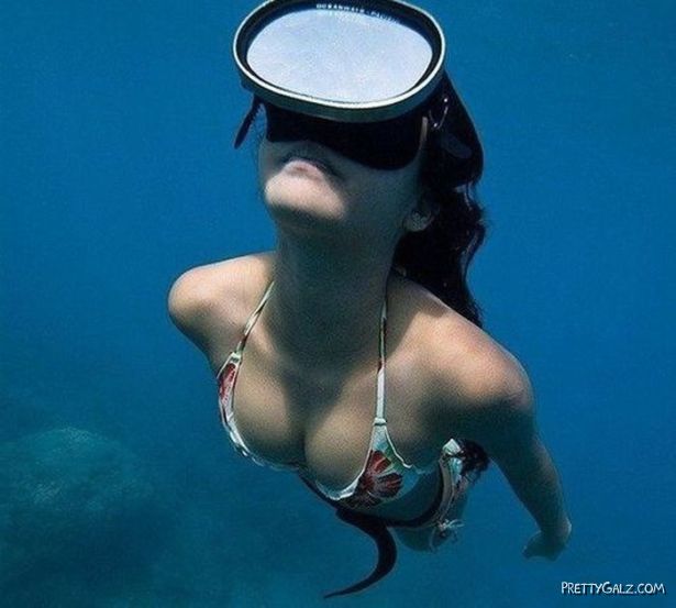 The Underwater Beauties In The Blue
