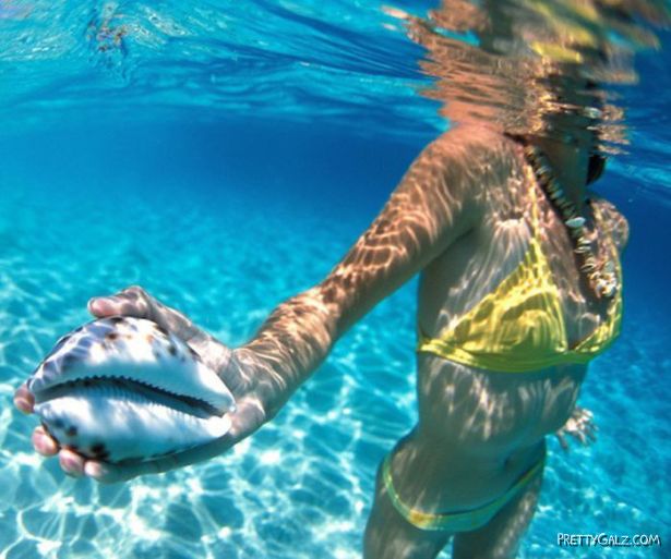 The Underwater Beauties In The Blue