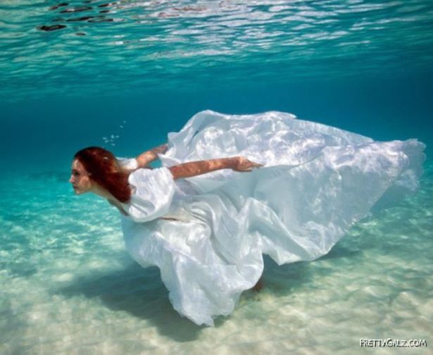 The Underwater Beauties In The Blue