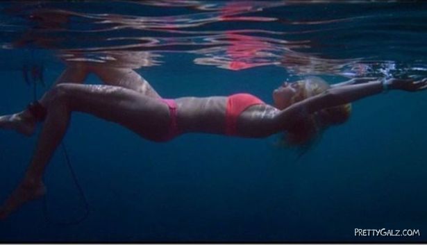 The Underwater Beauties In The Blue