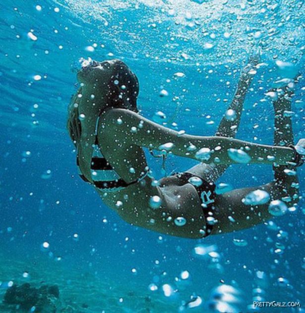 The Underwater Beauties In The Blue