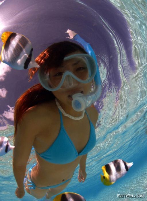 The Underwater Beauties In The Blue
